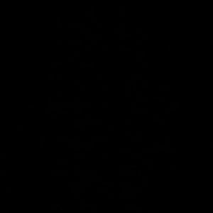 Meet your Posher, Drew